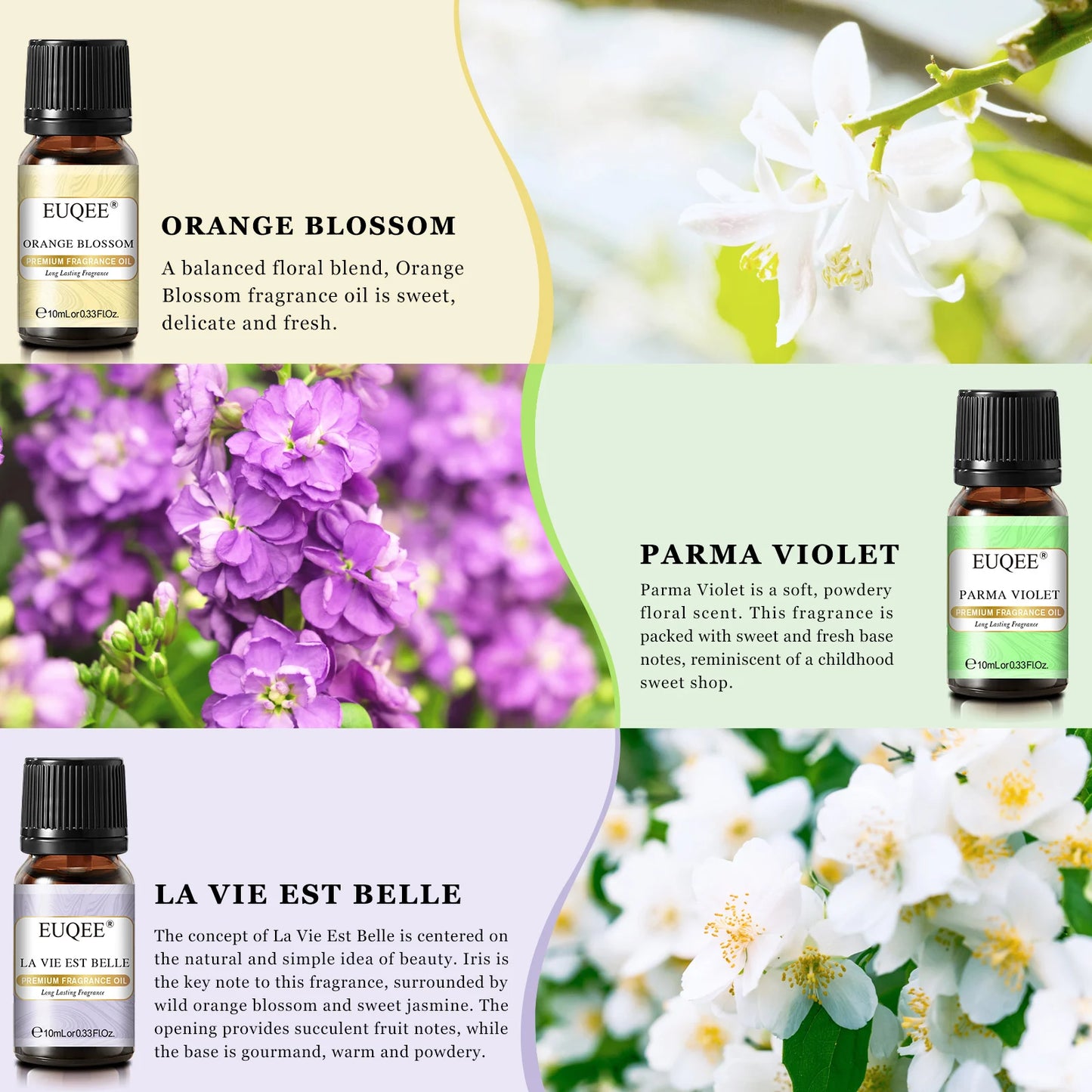 EUQEE 6PCS Floral Fragrance Oils Gift Set  - La Vie Est Belle,Orange Blossom,Japanese Magnolia,Lilac,Parma Violet,Honeysuckle